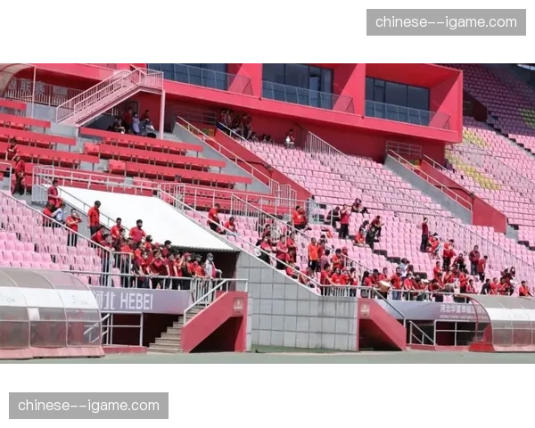 动态:水晶宫训练开放日,球迷观察到球队重点演练快速通过中场